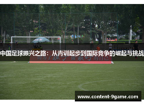 中国足球振兴之路：从青训起步到国际竞争的崛起与挑战