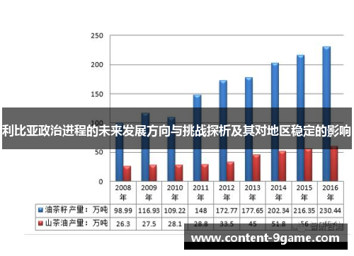 利比亚政治进程的未来发展方向与挑战探析及其对地区稳定的影响