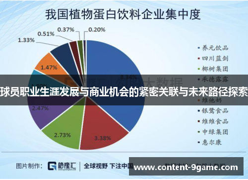 球员职业生涯发展与商业机会的紧密关联与未来路径探索
